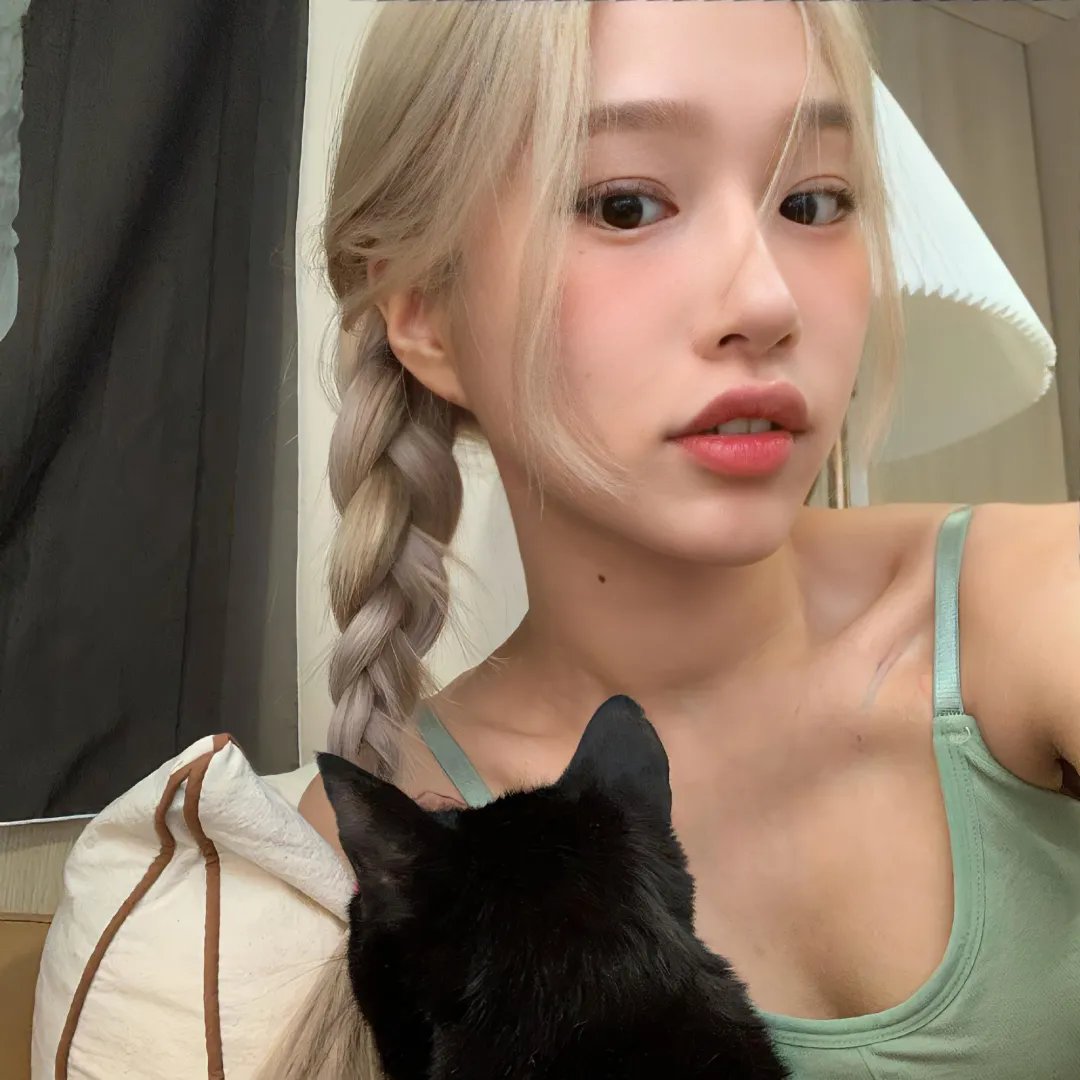 狗狗史酷比